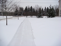 010 A2 Snowfall & Trees [2008 Dec 20]